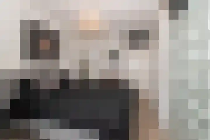 Petuniatuin 15 Zoetermeer thumbnail 11