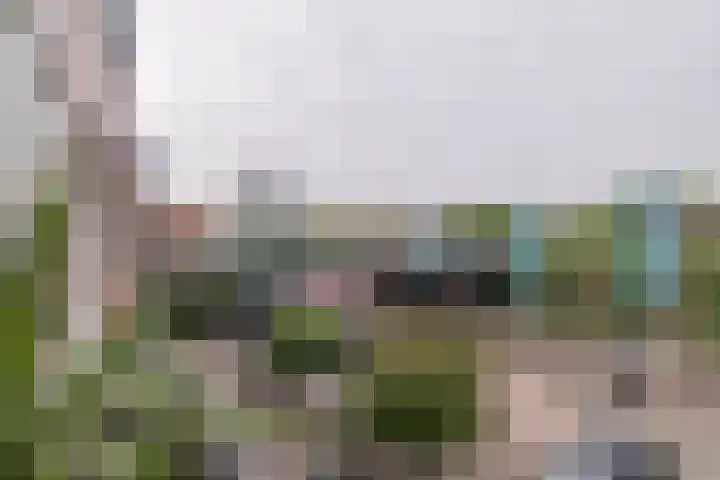 Petuniatuin 15 Zoetermeer thumbnail 17