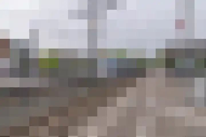 Petuniatuin 15 Zoetermeer thumbnail 23
