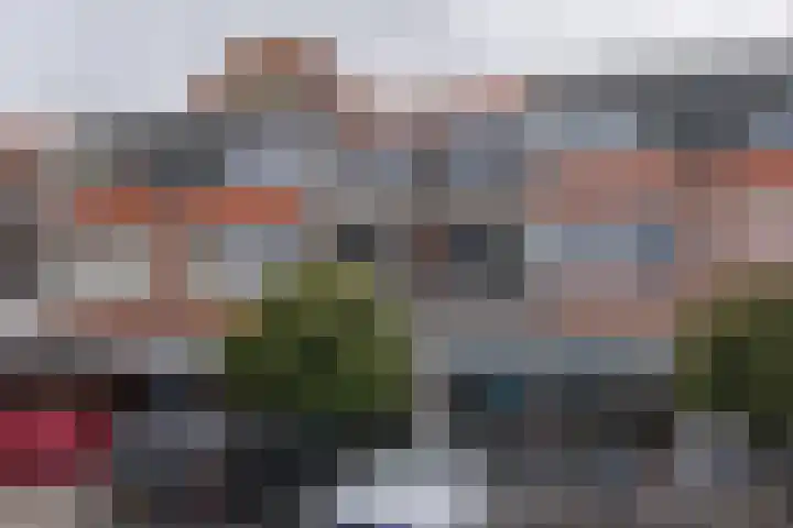 Petuniatuin 15 Zoetermeer thumbnail 26