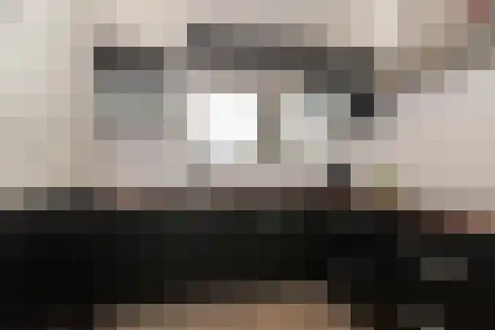 Petuniatuin 15 Zoetermeer thumbnail 7