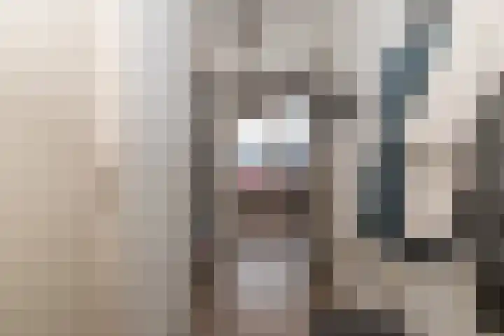 Petuniatuin 15 Zoetermeer thumbnail 8