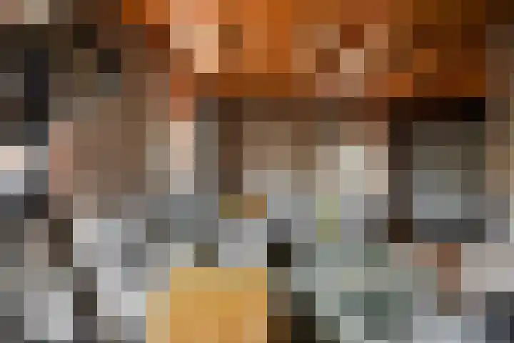 Peuterdijk 43 Herkingen thumbnail 14