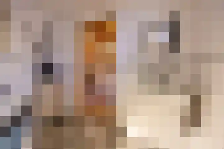 Peuterdijk 43 Herkingen thumbnail 20
