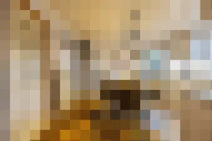 Peuterdijk 43 Herkingen thumbnail 22