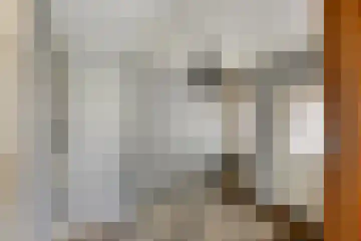 Peuterdijk 43 Herkingen thumbnail 27