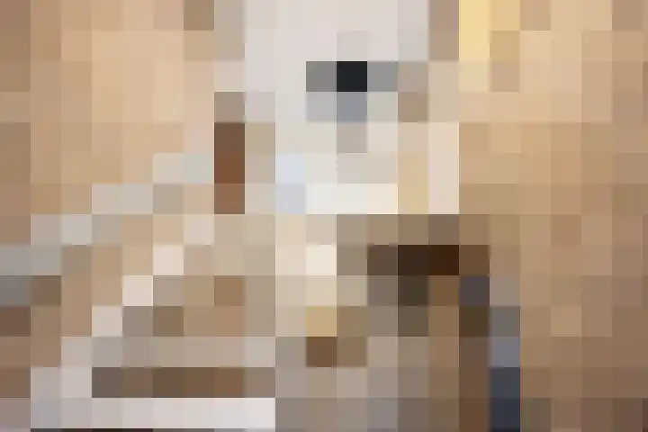 Peuterdijk 43 Herkingen thumbnail 30