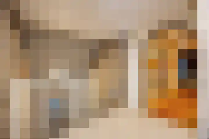Peuterdijk 43 Herkingen thumbnail 31
