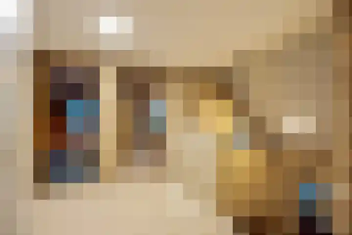 Peuterdijk 43 Herkingen thumbnail 32