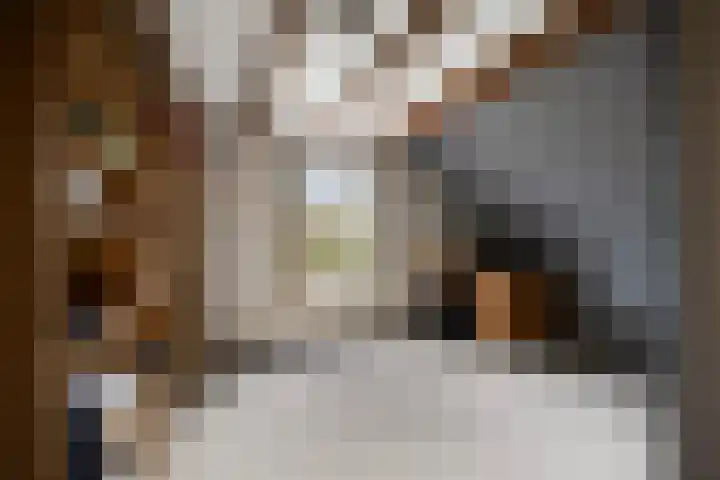 Peuterdijk 43 Herkingen thumbnail 36