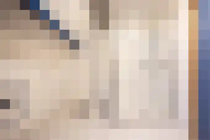 Peuterdijk 43 Herkingen thumbnail 39