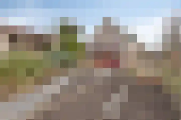 Peuterdijk 43 Herkingen thumbnail 46