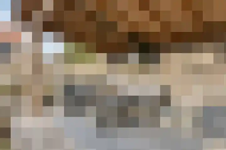 Peuterdijk 43 Herkingen thumbnail 49