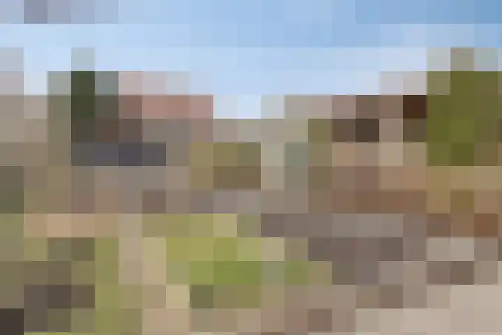 Peuterdijk 43 Herkingen thumbnail 5