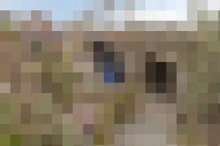 Peuterdijk 43 Herkingen thumbnail 51