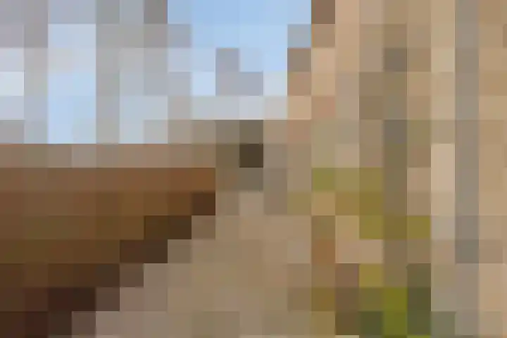 Peuterdijk 43 Herkingen thumbnail 55