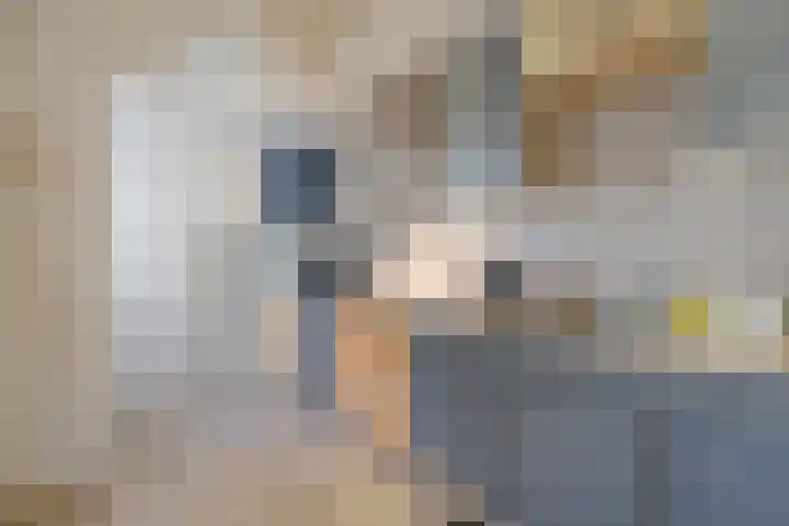 Peyserhof 35 Emmen thumbnail 20