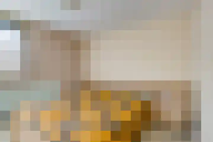 Peyserhof 35 Emmen thumbnail 25