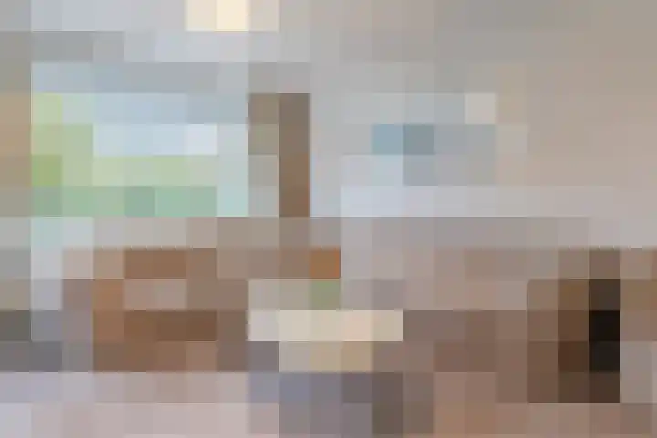 Pharus 1 Zaandam thumbnail 11