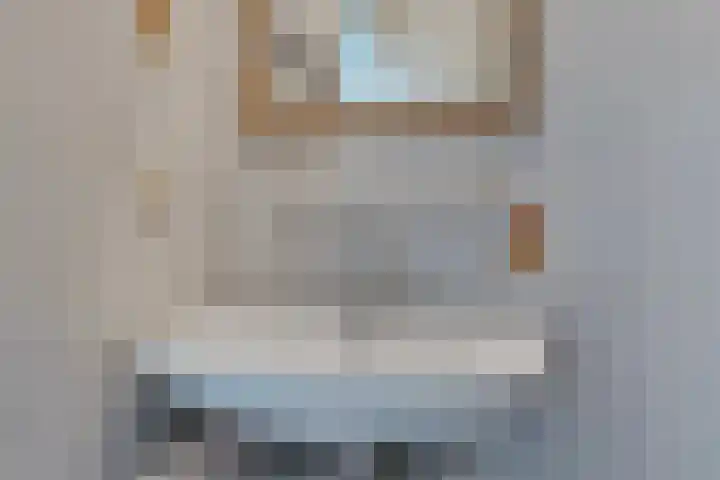 Pharus 1 Zaandam thumbnail 18