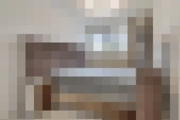 Pharus 1 Zaandam thumbnail 19