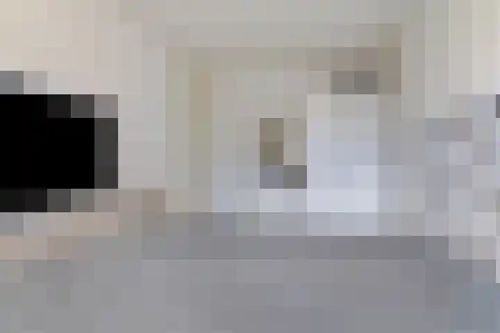 Pharus 1 Zaandam thumbnail 20