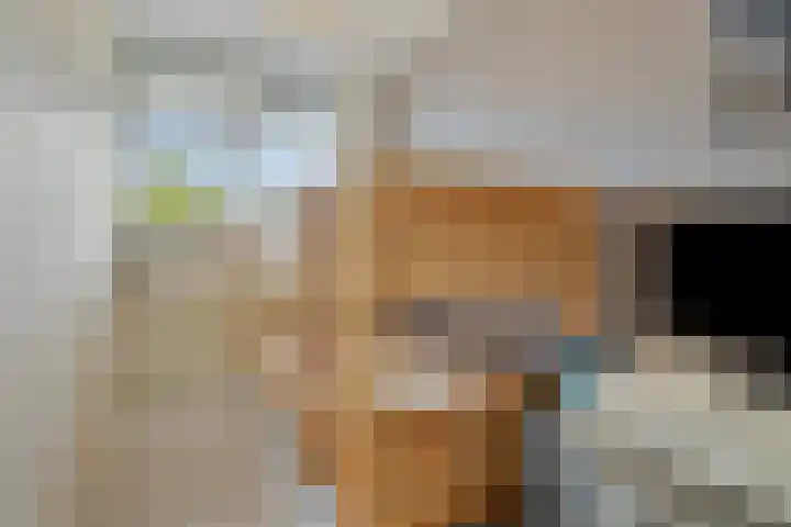 Pharus 1 Zaandam thumbnail 21