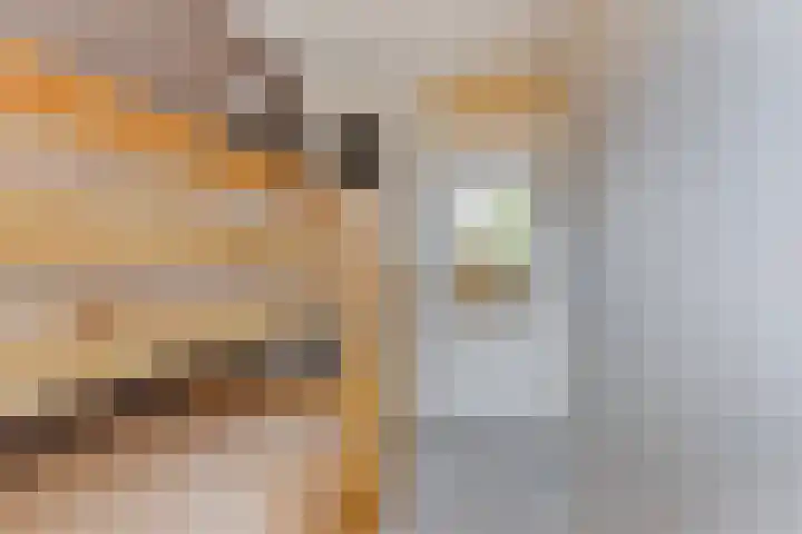 Pharus 1 Zaandam thumbnail 22