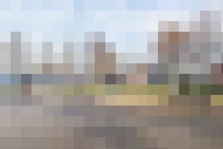 Pharus 1 Zaandam thumbnail 28