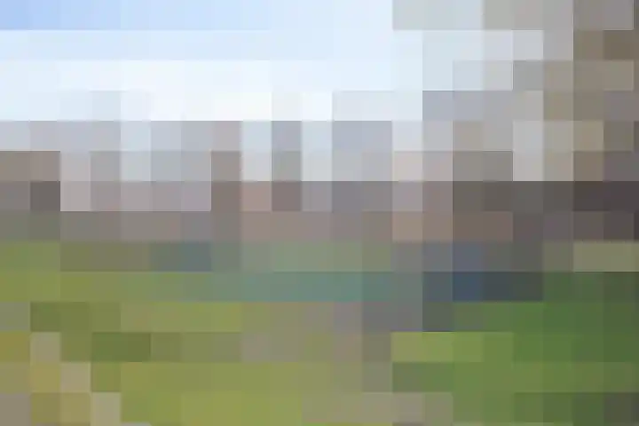 Pharus 1 Zaandam thumbnail 31