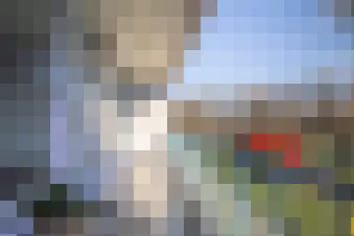 Pharus 1 Zaandam thumbnail 32