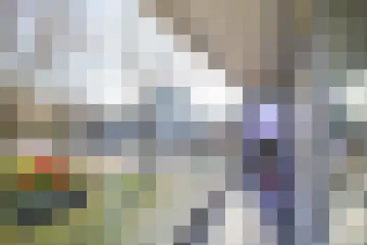 Pharus 1 Zaandam thumbnail 33