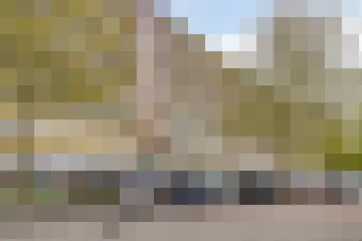 Pharus 1 Zaandam thumbnail 34