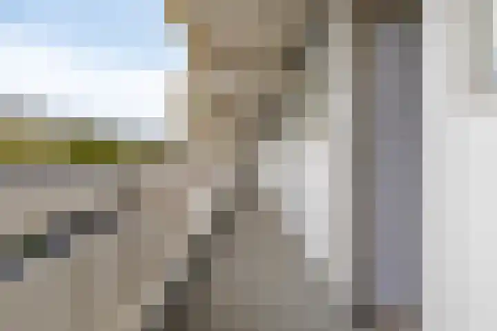 Pharus 1 Zaandam thumbnail 4