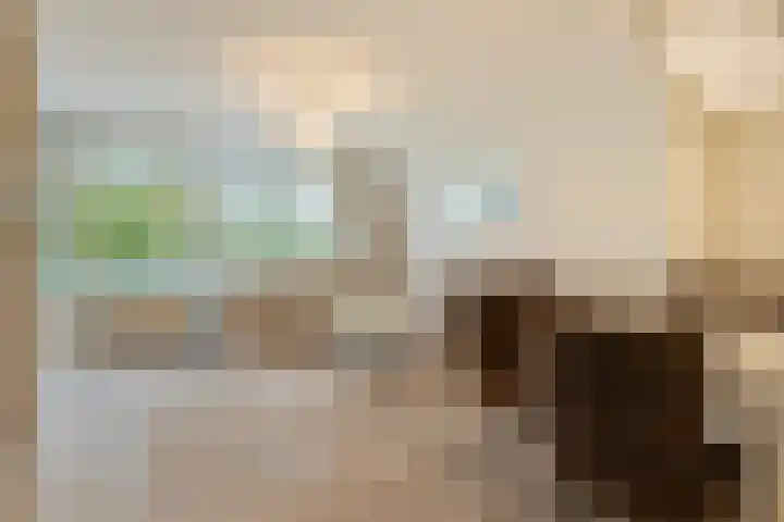 Pharus 1 Zaandam thumbnail 7
