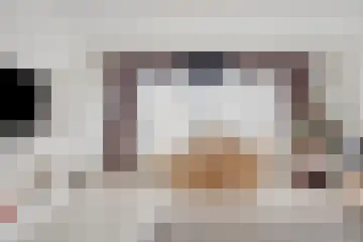 Pharus 149 Zaandam thumbnail 11
