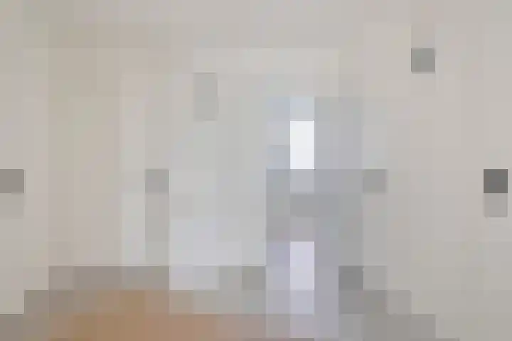 Pharus 149 Zaandam thumbnail 16