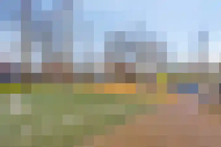 Pharus 149 Zaandam thumbnail 31
