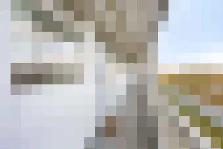 Pharus 149 Zaandam thumbnail 6