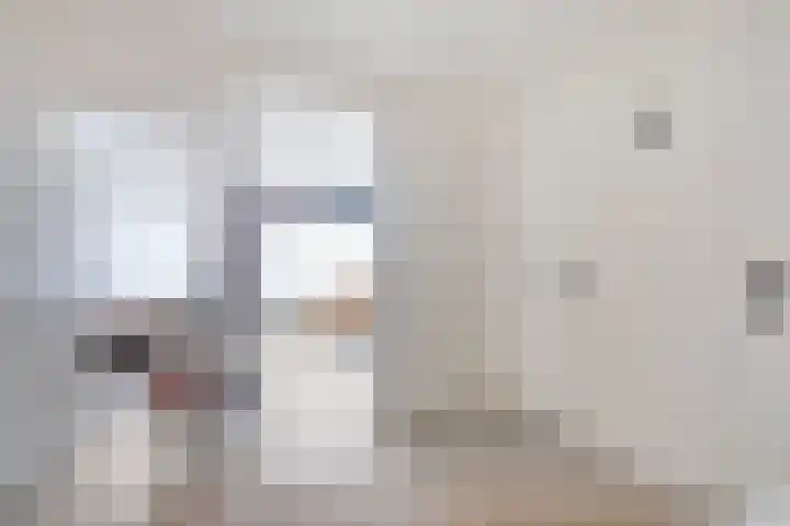 Pharus 149 Zaandam thumbnail 8