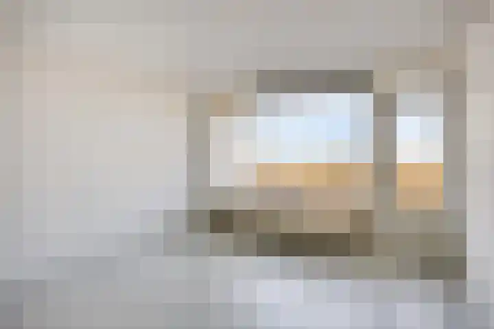 Pharus 152 Zaandam thumbnail 10