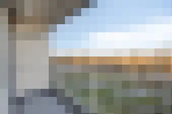 Pharus 152 Zaandam thumbnail 14
