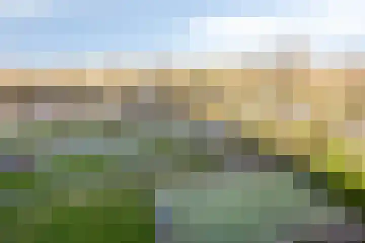 Pharus 152 Zaandam thumbnail 17