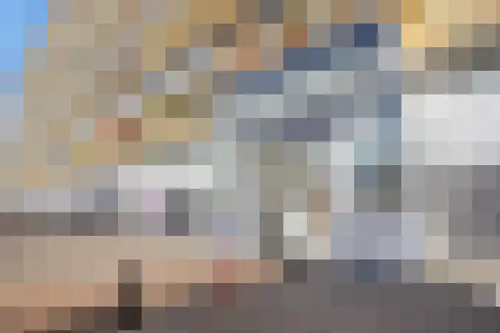 Pharus 152 Zaandam foto 2