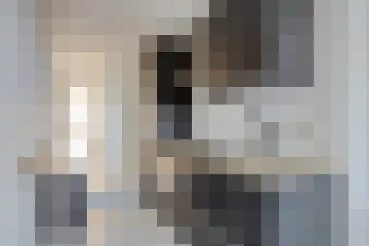 Pharus 152 Zaandam thumbnail 6