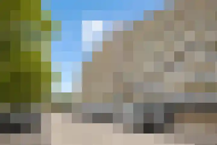 Pharus 292 in Zaandam