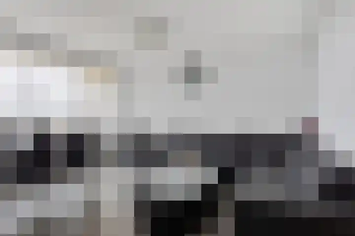 Pharus 302 Zaandam thumbnail 11