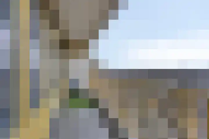 Pharus 302 Zaandam thumbnail 15