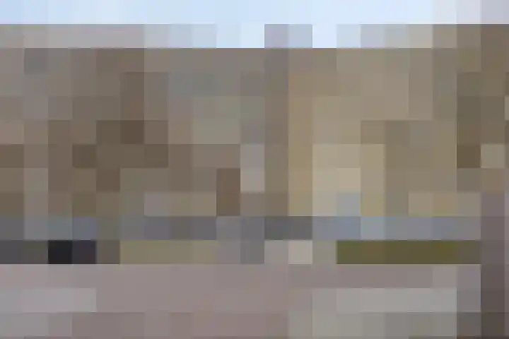 Pharus 302 Zaandam foto 2