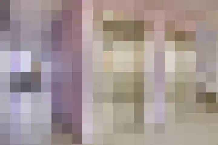 Pharus 302 Zaandam thumbnail 27